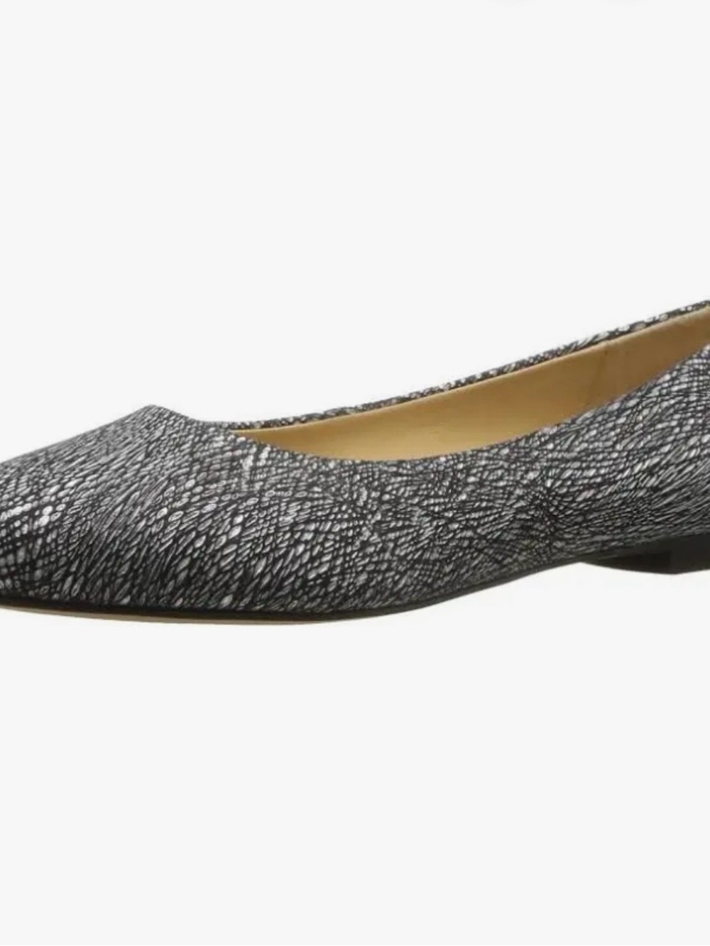 Trotters Pointed Textured Flat in Black and White